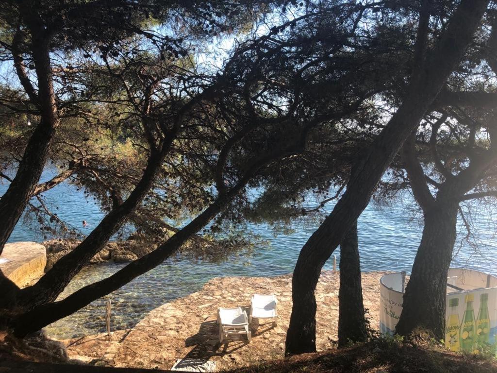 Apartment Franko Πόρετς Εξωτερικό φωτογραφία